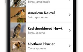 Birdeez Screen shot showing list of birds