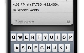Birdeez screenshot to tweet about the bird you've just seen