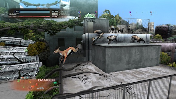 Tokyo Jungle deer chase