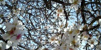 Payment platform Braintree blossoms with $35M