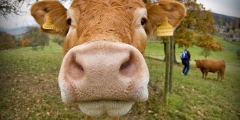 Cloud entrepreneurs: customers don’t want to be ‘milked like a cow’