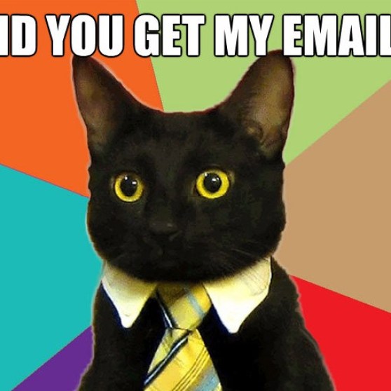 email cat