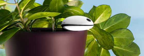 plant-sensor