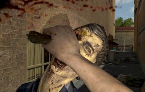 The Walking Dead: Survival Instinct