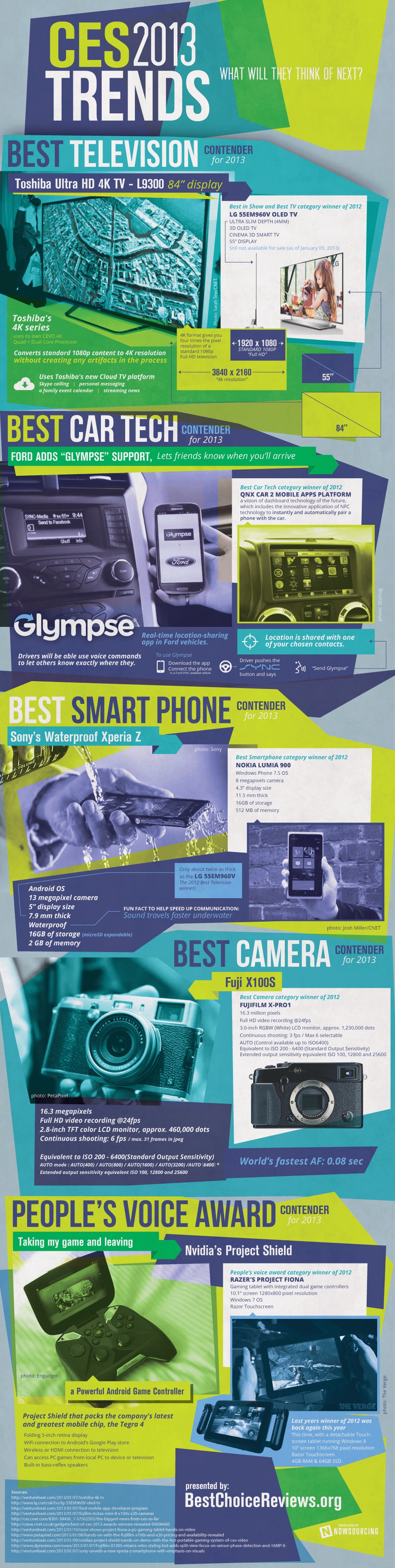 2013 CES Trends infographic
