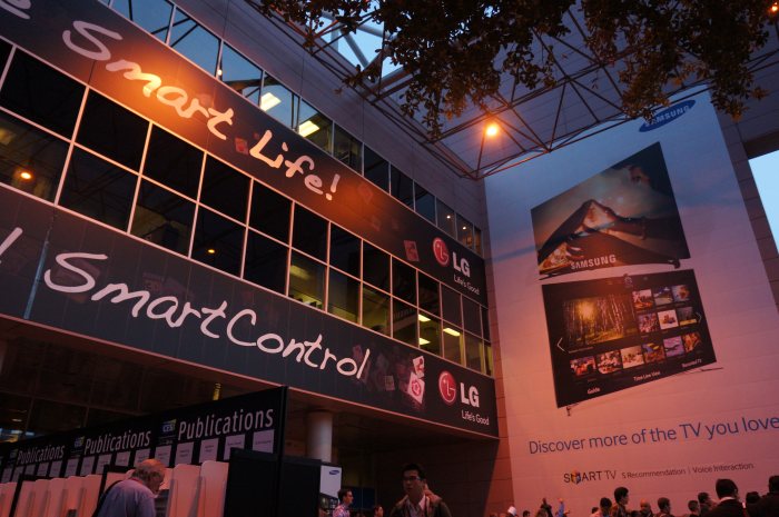 ces 2013 crowd