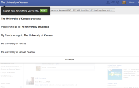 Facebook Graph Search