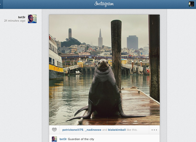 instagram-web-feed