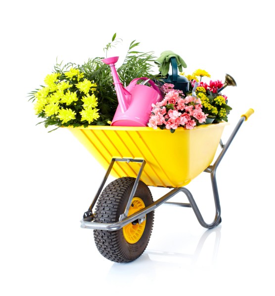 shutterstock_72067507