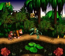 Donkey Kong Country