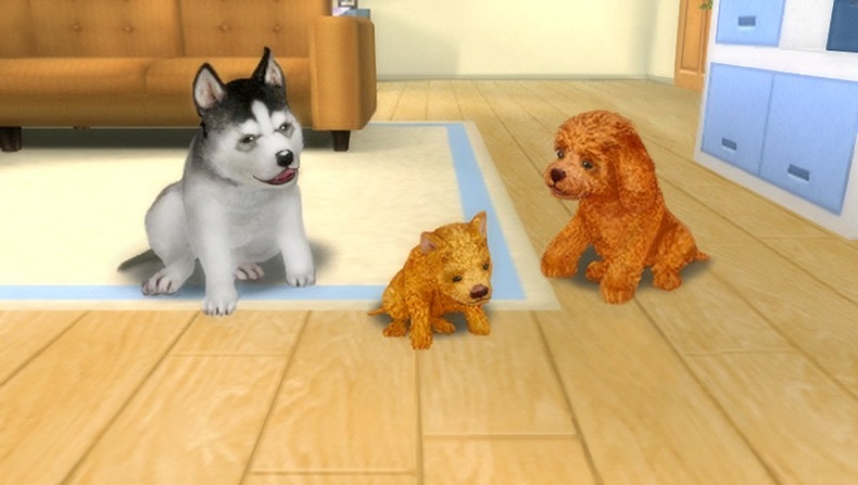 dogz