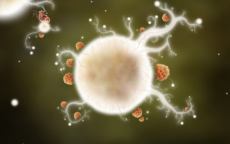 Botanicula 1