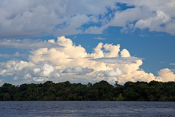 3D Clouds