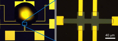 Ionic liquid