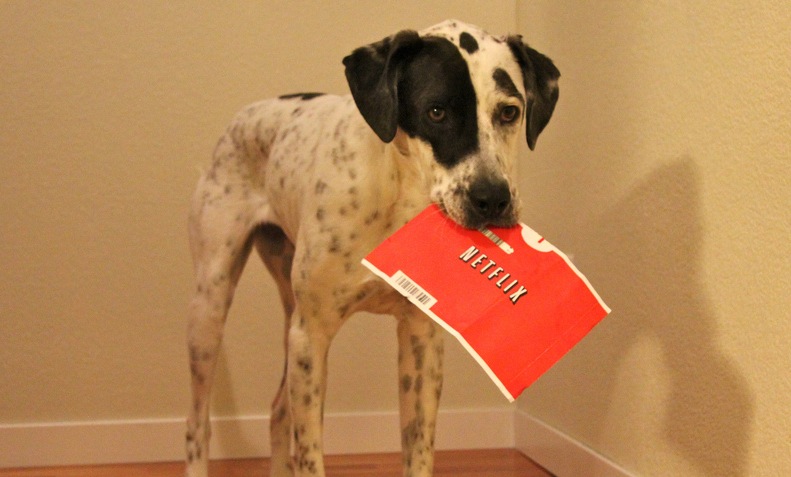 netflix