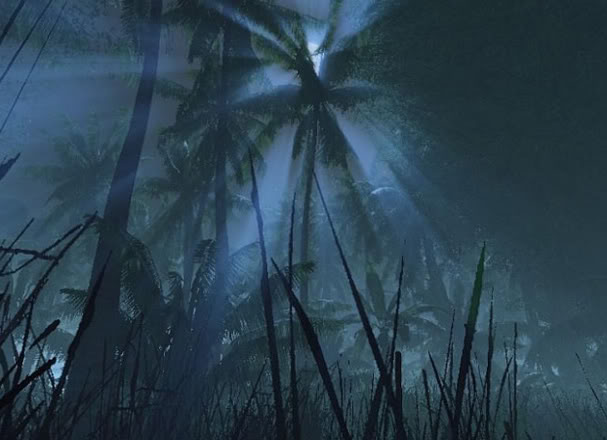 jungle at night