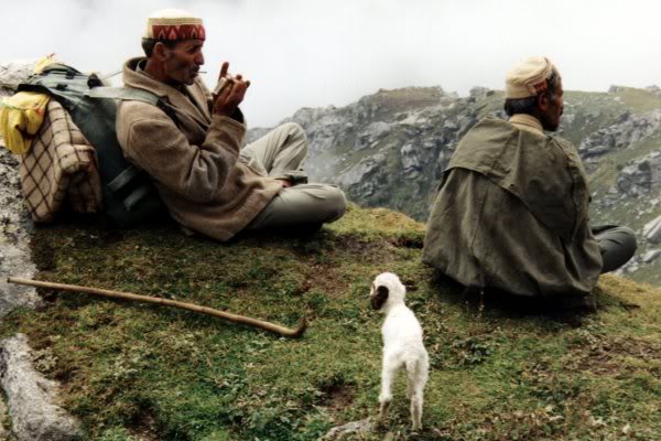 Shepherds