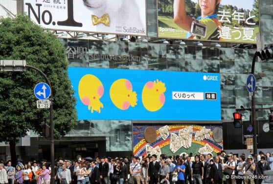 shibuya