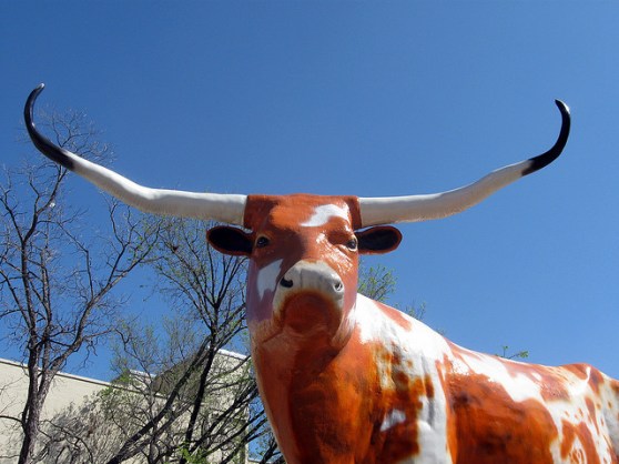 How do you win SXSW? With a very big steer