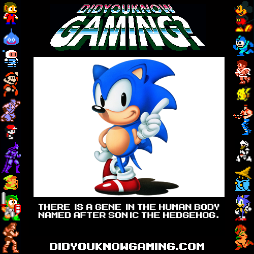 Did You Know Gaming?