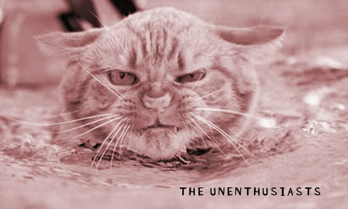 unhappy cat