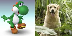 Yoshi and Vincent