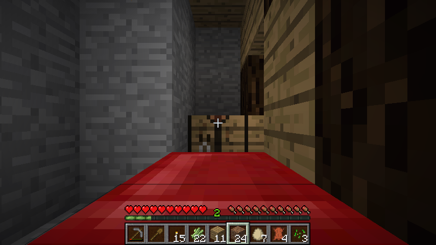 Going to sleep in Minecraft