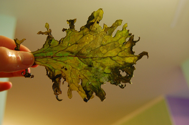 kale chips