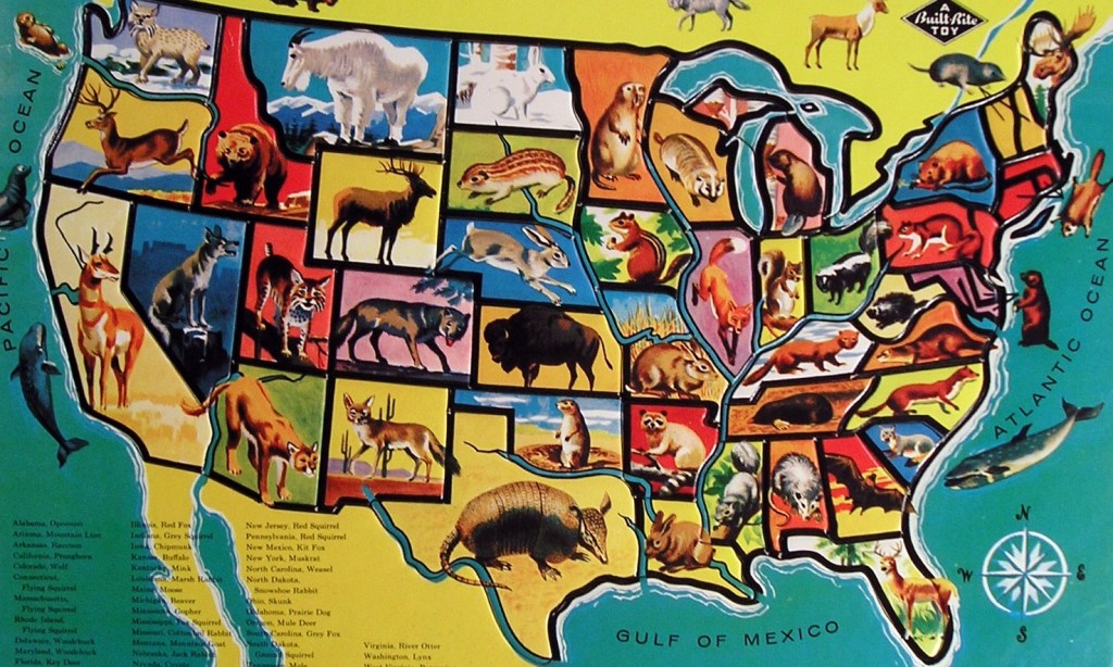 usa map