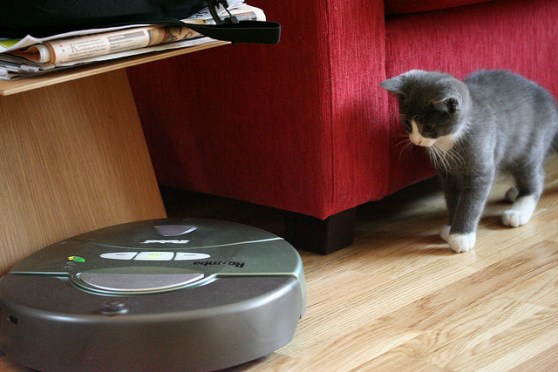 roomba-cat