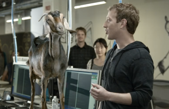 Mark Zuckerberg donkey