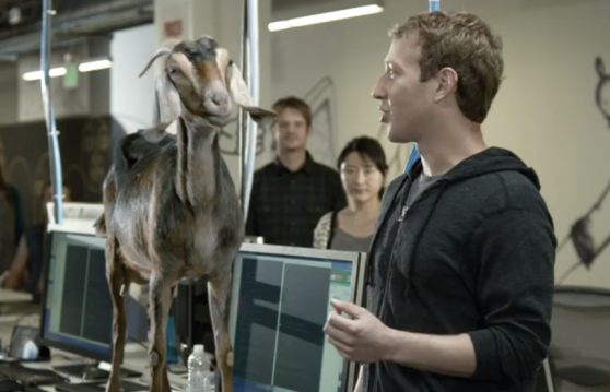 Mark Zuckerberg donkey