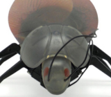 Unleash your playful side with the iBug [VB Store]