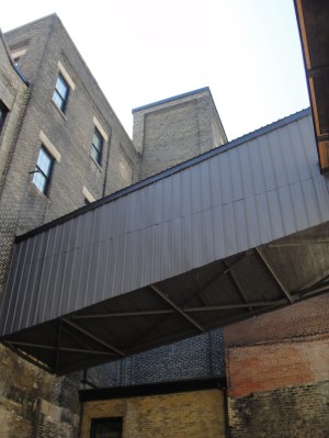 The actual cattle walkway