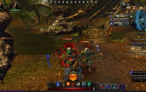 Neverwinter 13