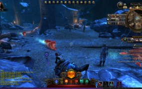 Neverwinter 10