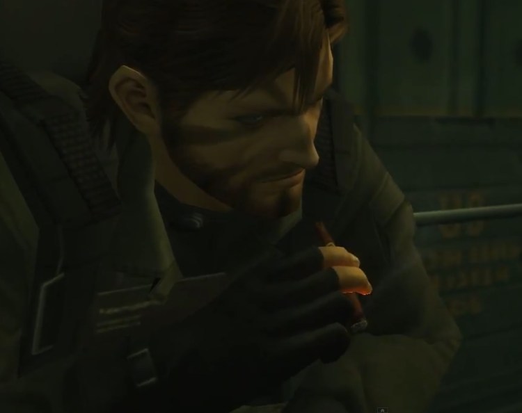 Snake smoking