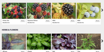 Provender wants to disrupt an antique $200B industry — and change the way you eat
