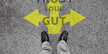 When data fails: The importance of gut decisions