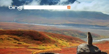 Microsoft launches 'safer' ad-free version of Bing for schools to get kids hooked early