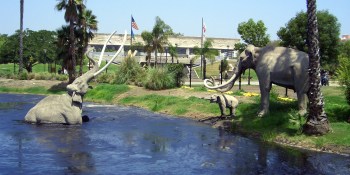 Software is evolving out of the tar pits of consolidation