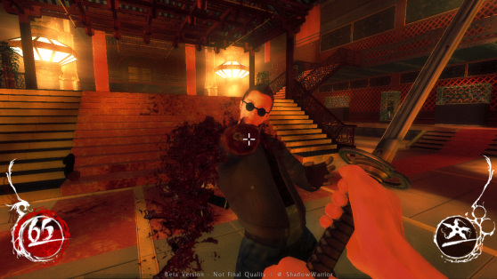 Shadow Warrior