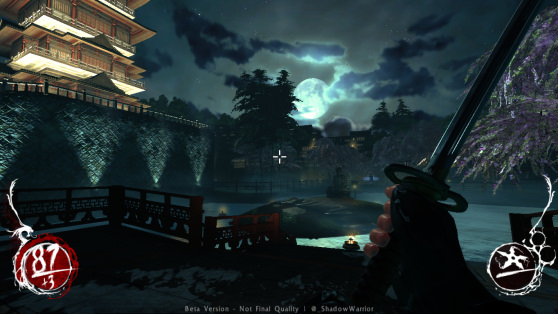 Shadow Warrior