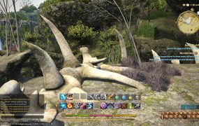 Final Fantasy XIV: A Realm Reborn