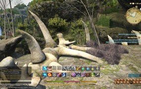 Final Fantasy XIV: A Realm Reborn