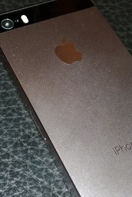 iphone5s-back