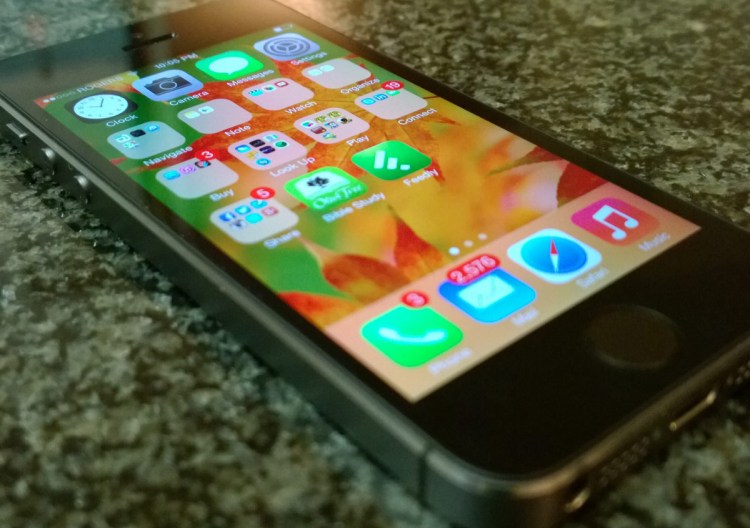 The iPhone 5S