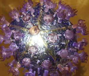 Model of an HIV virus