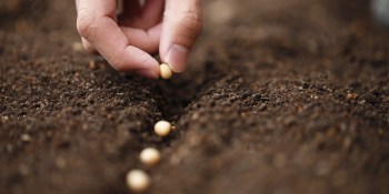 5 things you should know when pricing your seed round