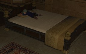 Final Fantasy XIV: A Realm Reborn